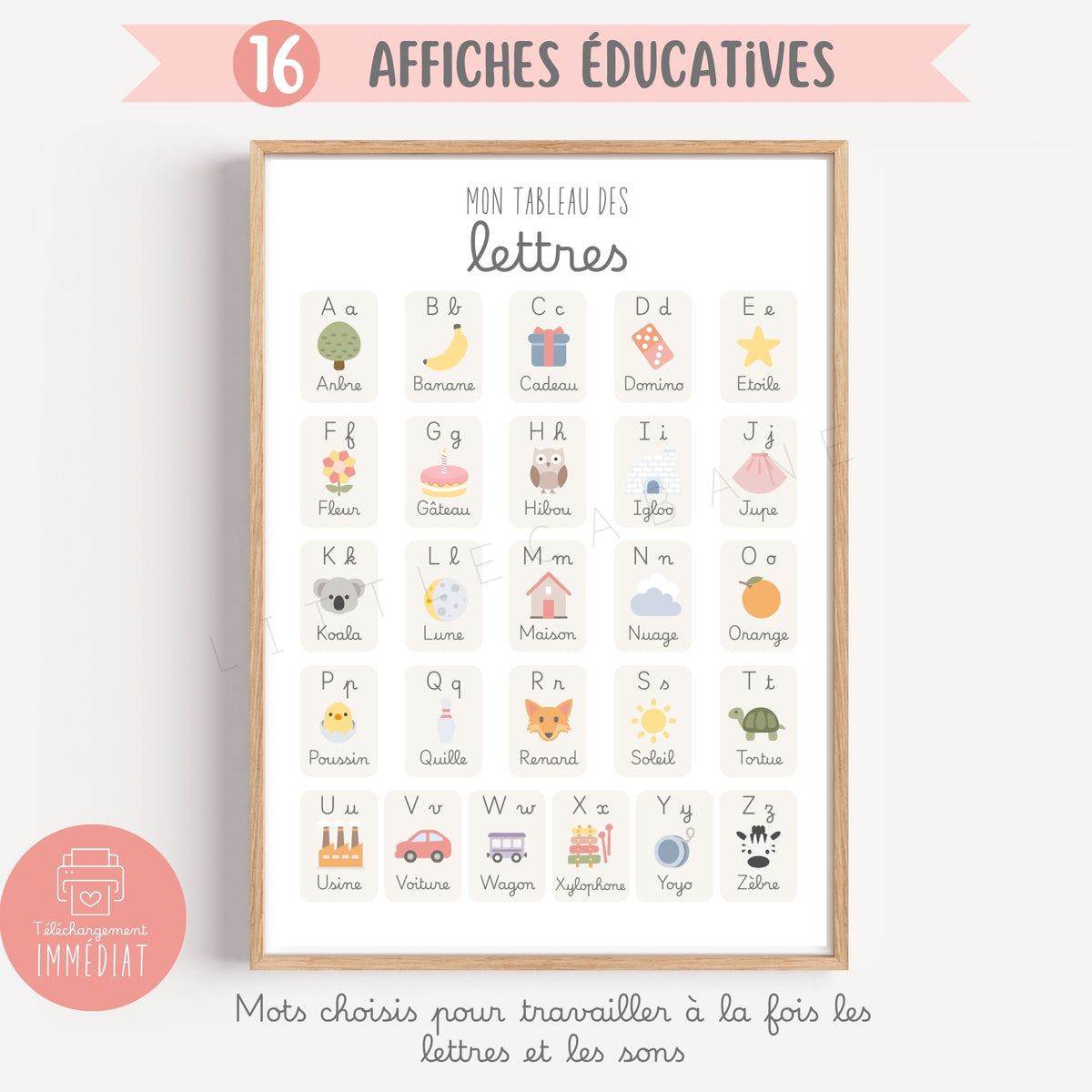 Pack de 16 affiches éducatives