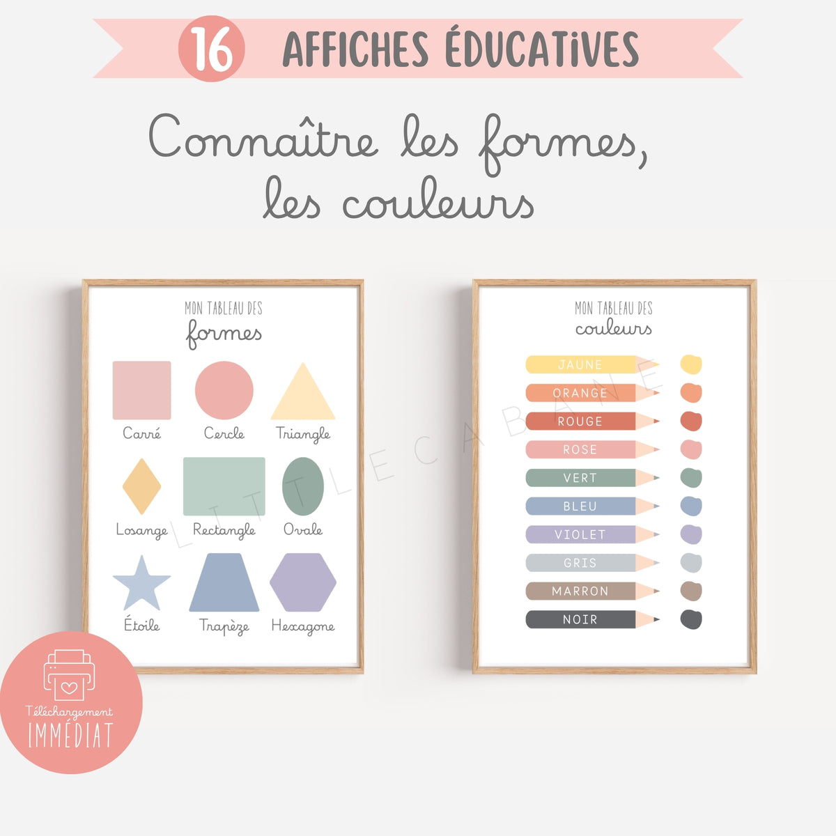 Pack de 16 affiches éducatives