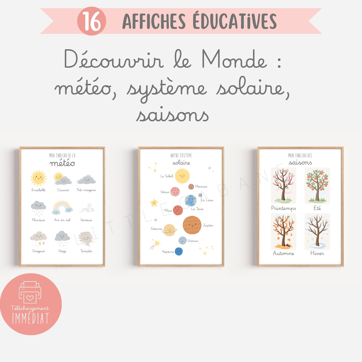 Pack de 16 affiches éducatives