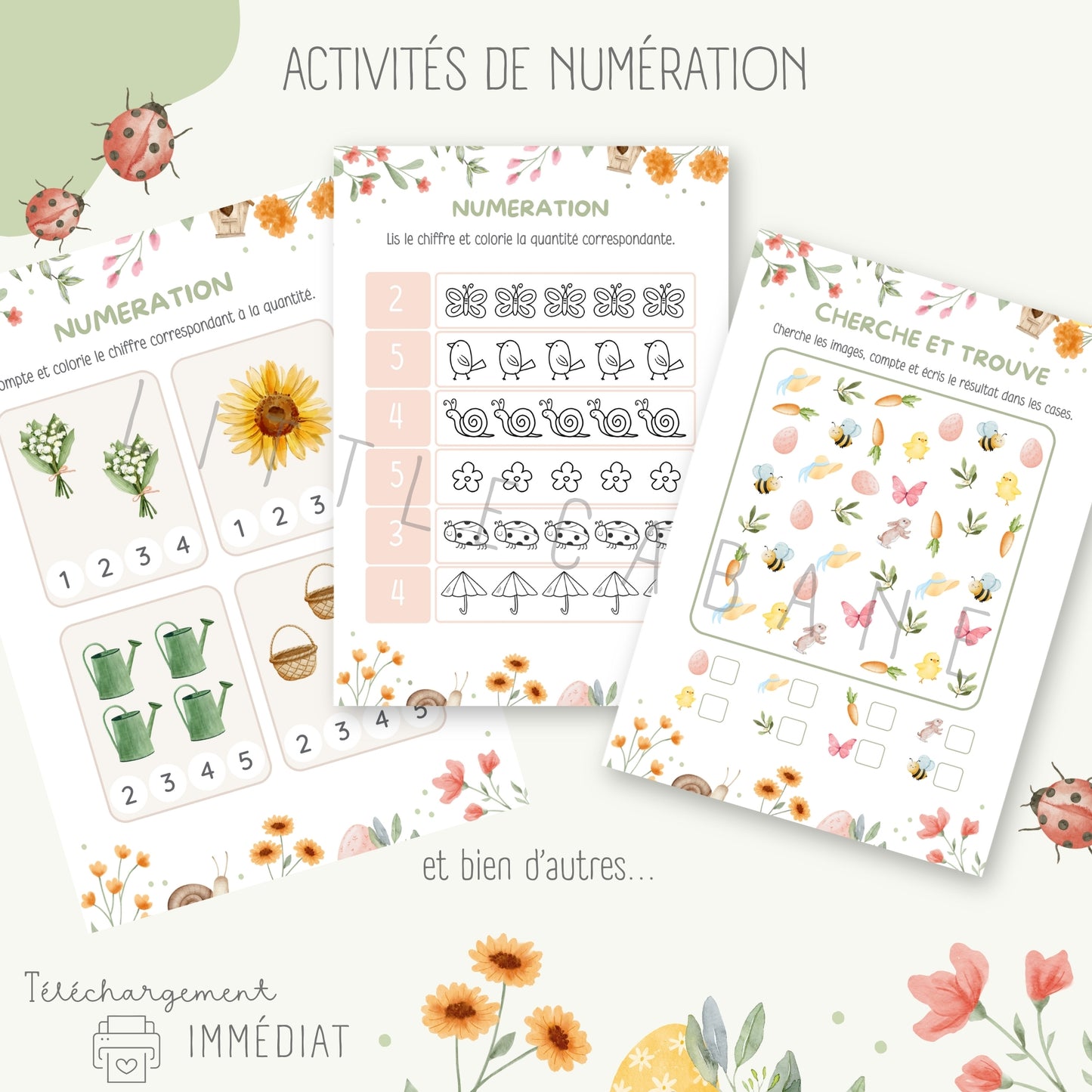Cahier du printemps, Fiches printemps maternelle