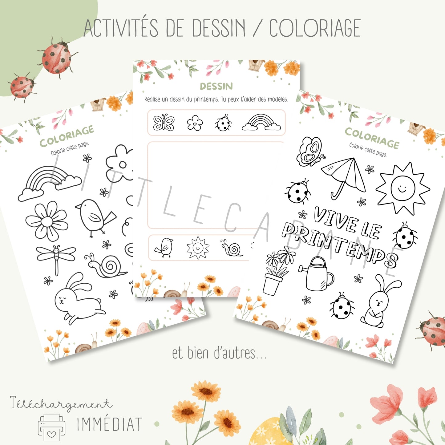 Cahier du printemps, Fiches printemps maternelle