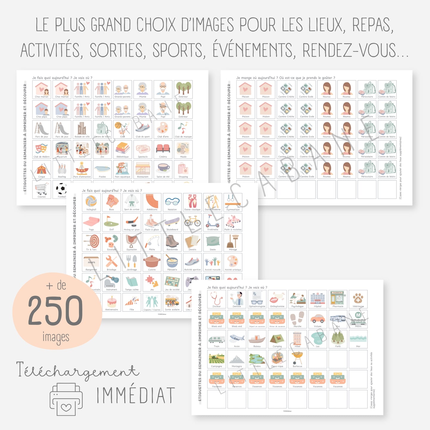Mon grand semainier, 250 vignettes